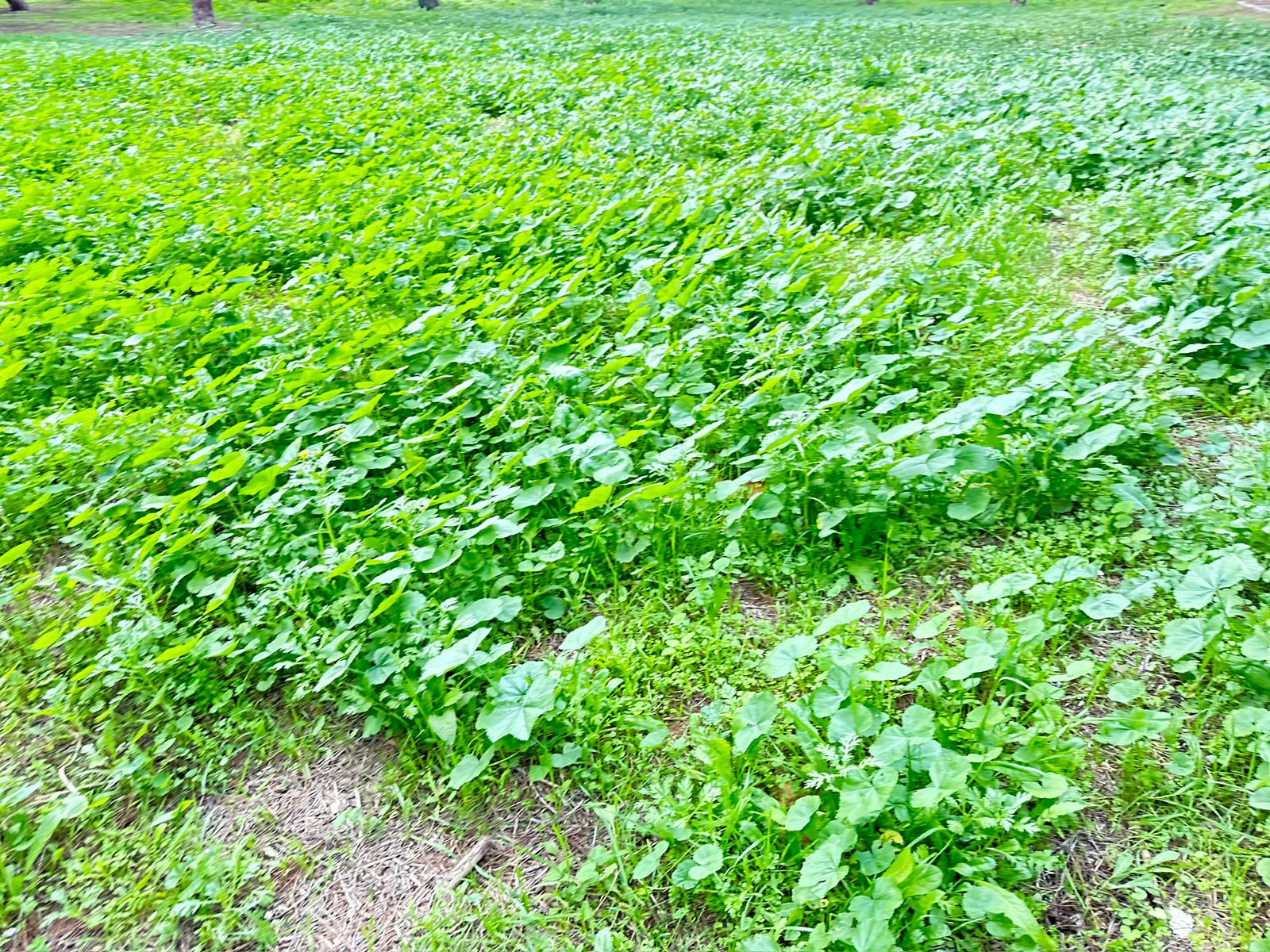 WhatsApp Image 2024-01-05 at 14.01.20 (1).jpeg